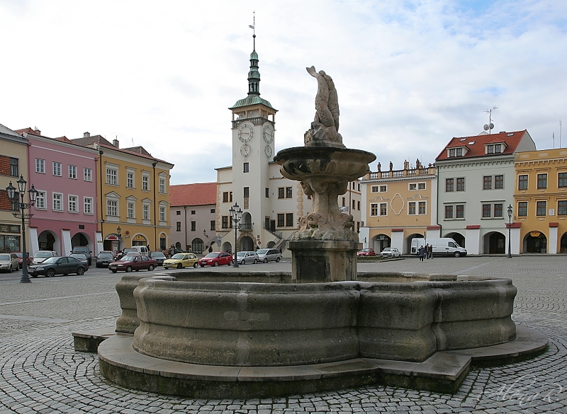 IMG_7800.jpg