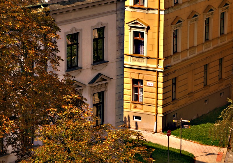 _MG_0376_hdr.jpg